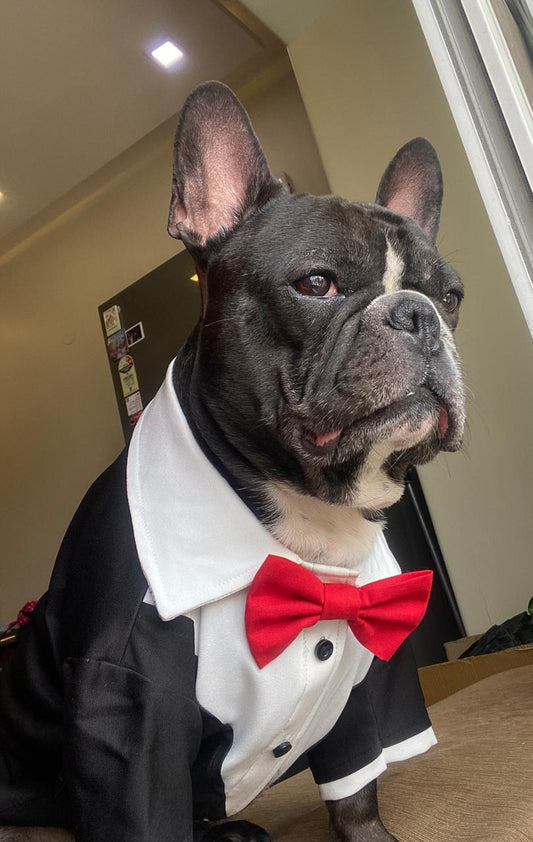 Classic Black & white Tuxedo coat Dogs Wedding Party Suit Formal Dog Weeding Attire for S,M,L