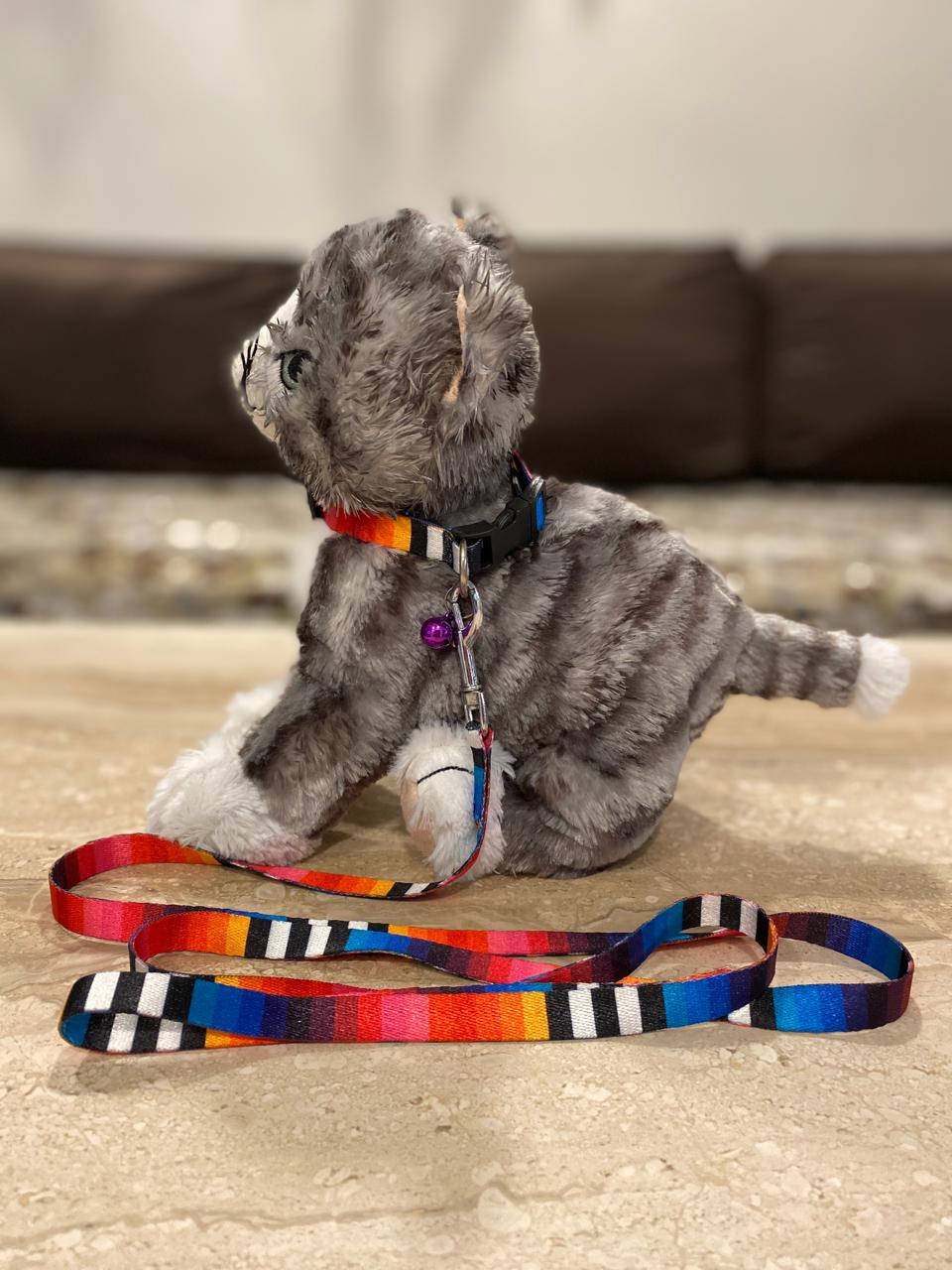 PUPPY COLLAR AND LEASH