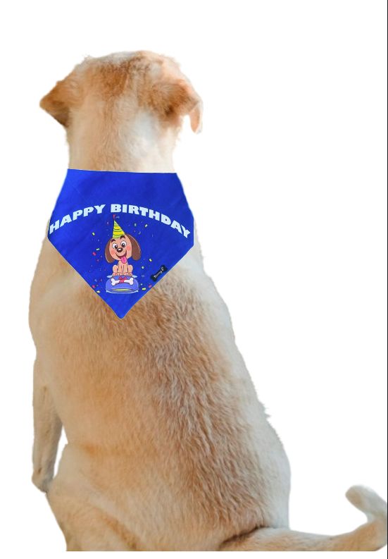 Benny’s Dog Birthday Bandana