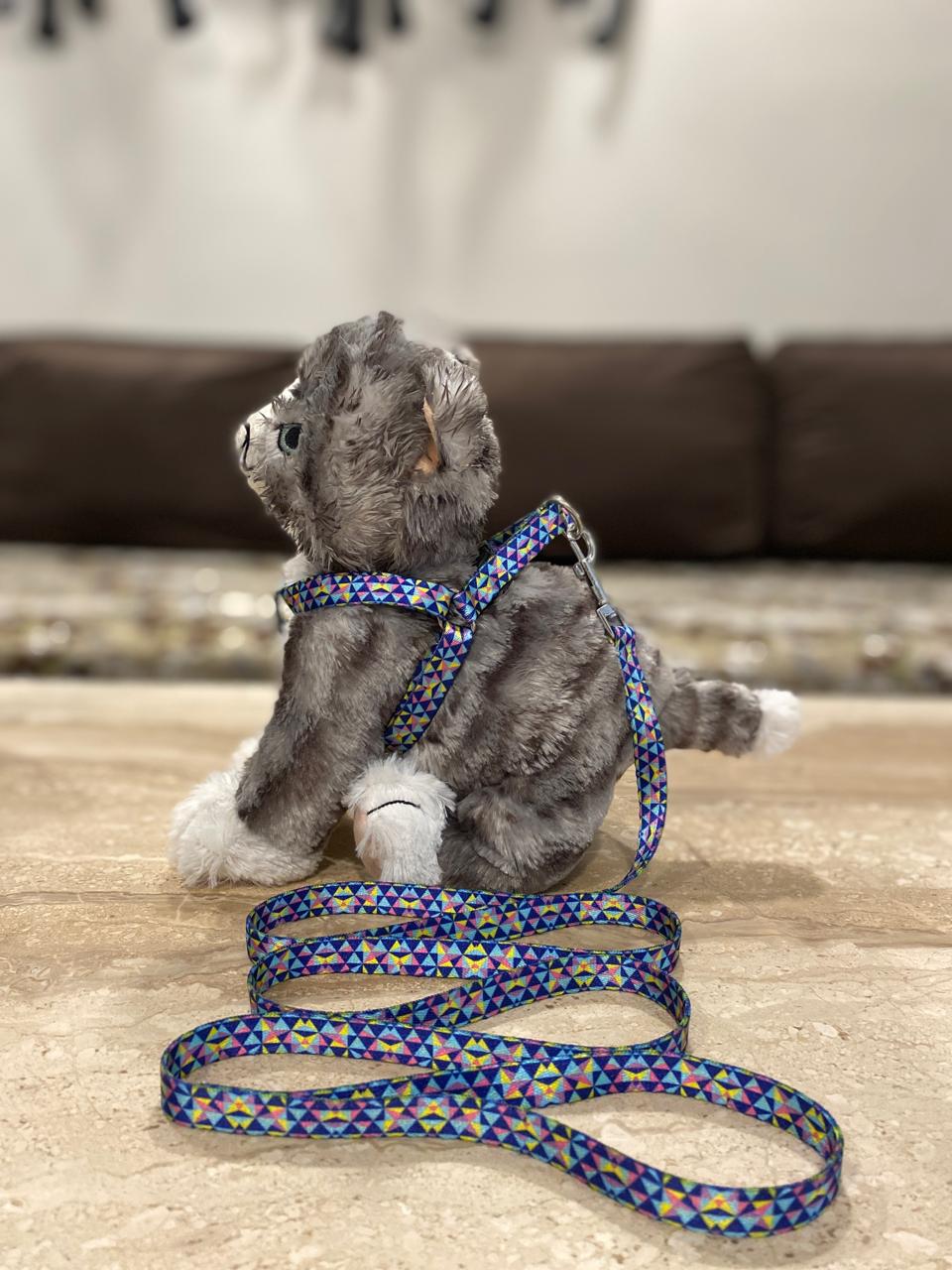 PUPPY HARNESS AND LEASH