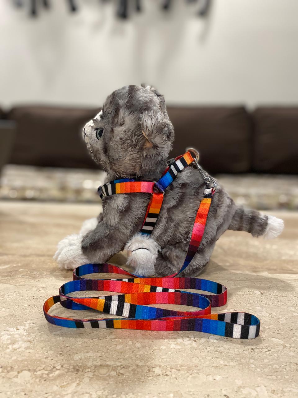 PUPPY HARNESS AND LEASH