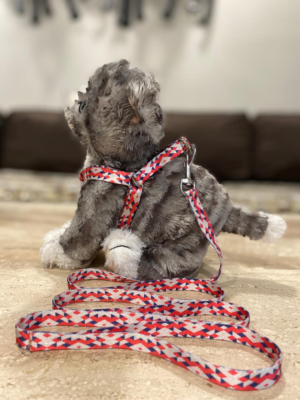 PUPPY HARNESS AND LEASH