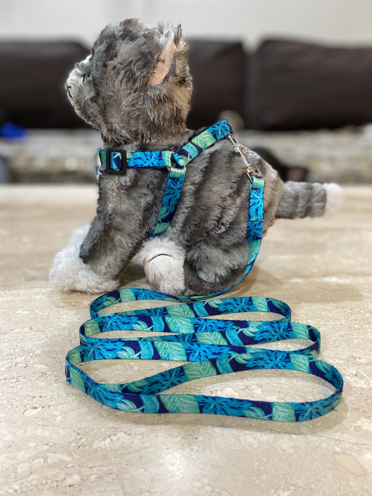 PUPPY HARNESS AND LEASH