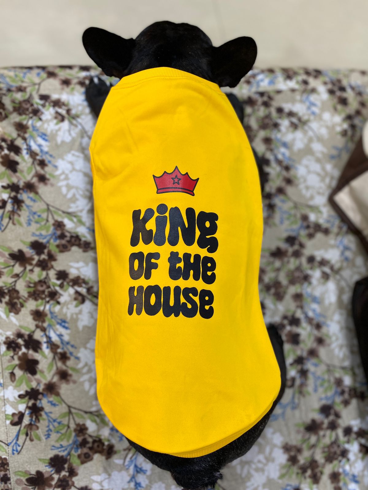 KING OF THE HOUSE SWEAT SHIRTS XS,S,M,L,XL