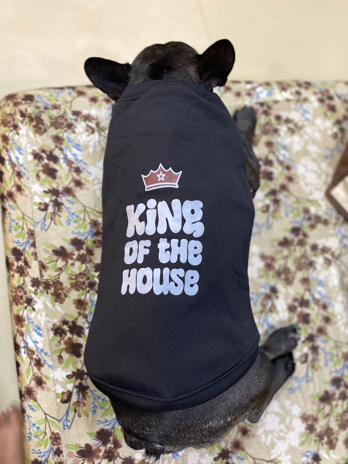 KING OF THE HOUSE SWEAT SHIRTS XS,S,M,L,XL